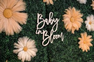 Baby Girl Sprinkle Ideas: Themes and Gifts Fit for a Princess (2026) | Peerspace