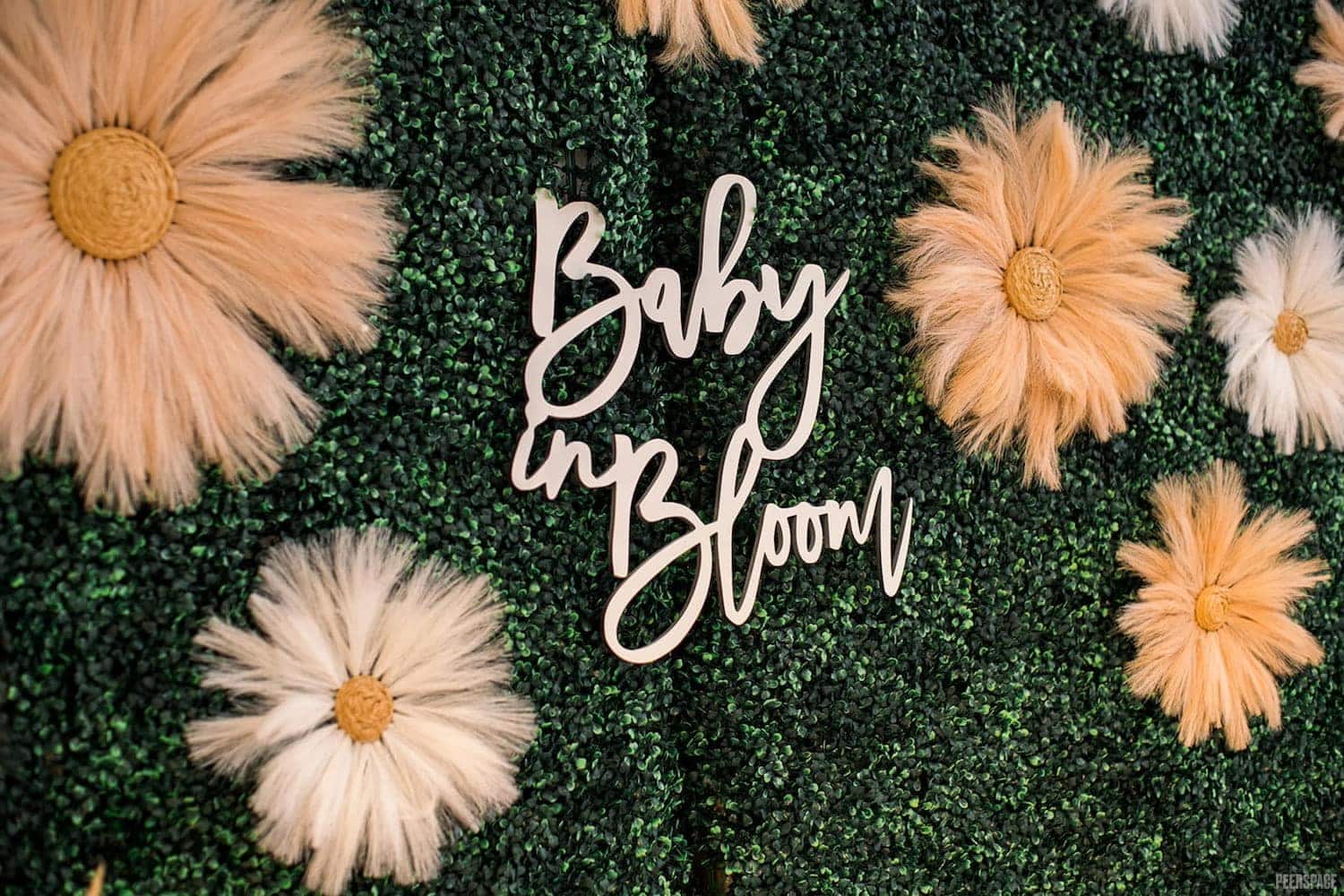 Baby Girl Sprinkle Ideas: Themes and Gifts Fit for a Princess (2026) | Peerspace